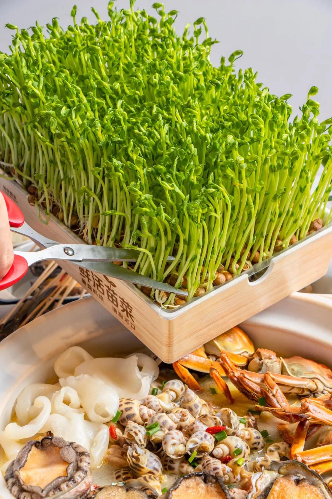 魔都鲍鱼鸡煲店团购,魔都这家正宗粤菜馆