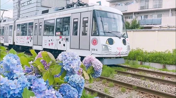 东京自由行最佳攻略详细,东京5日自由行攻略