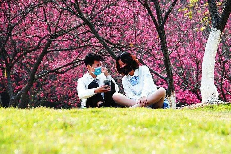 天津2022哪些公园恢复开放,天津2022年四月开放的公园