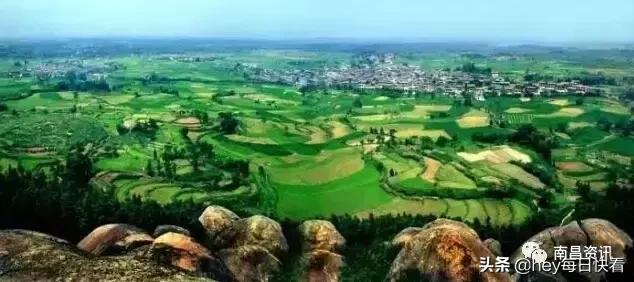 金三银四辞职信,金三银四辞职季