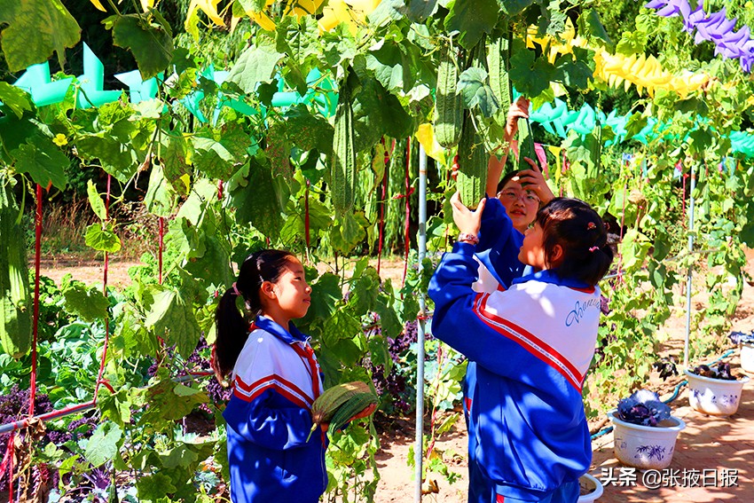 临泽板桥中心小学耕好“责任田”拓展教育新空间