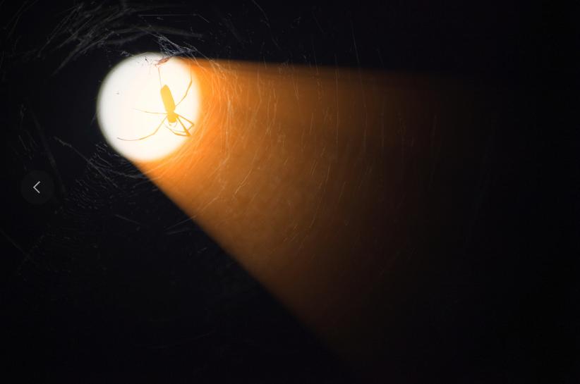 最好的月亮拍摄方法,真实的月亮星空怎样拍才好看