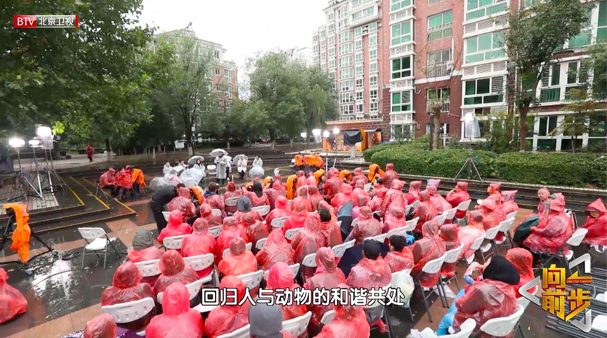 濂藉績鍏讳簡娴佹氮鐚嵈閬囦簡澶т簨,鍏绘祦娴尗鐨勫ソ蹇冧汉鐩樼偣