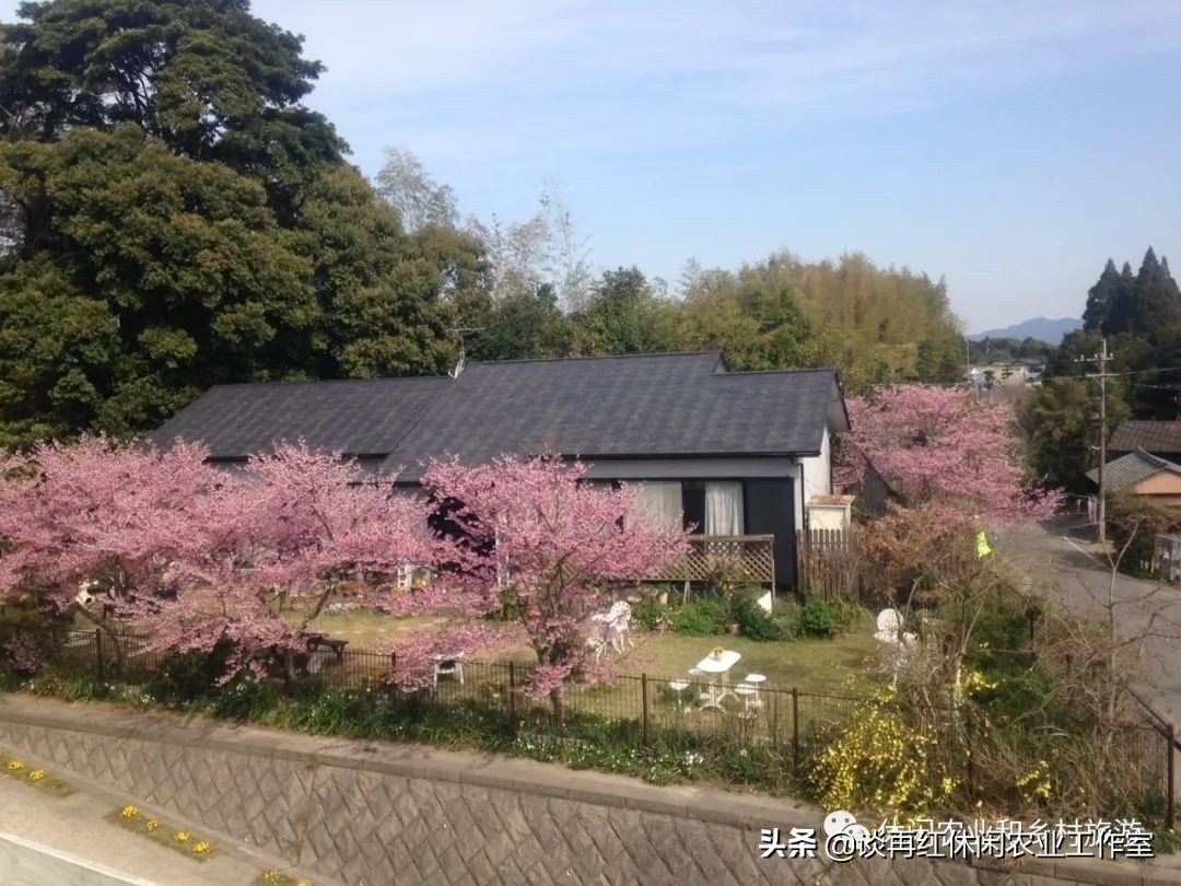 如何打造一个有特色的农家乐,休闲农庄7种盈利模式