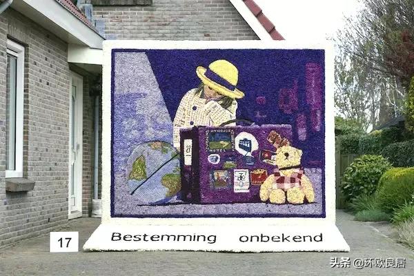 错过郁金香的阿姆斯特丹,荷兰赏花景点推荐