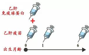 乙肝妈妈生活中怎样保护孩子,乙肝妈妈怎么照顾宝宝的日常生活