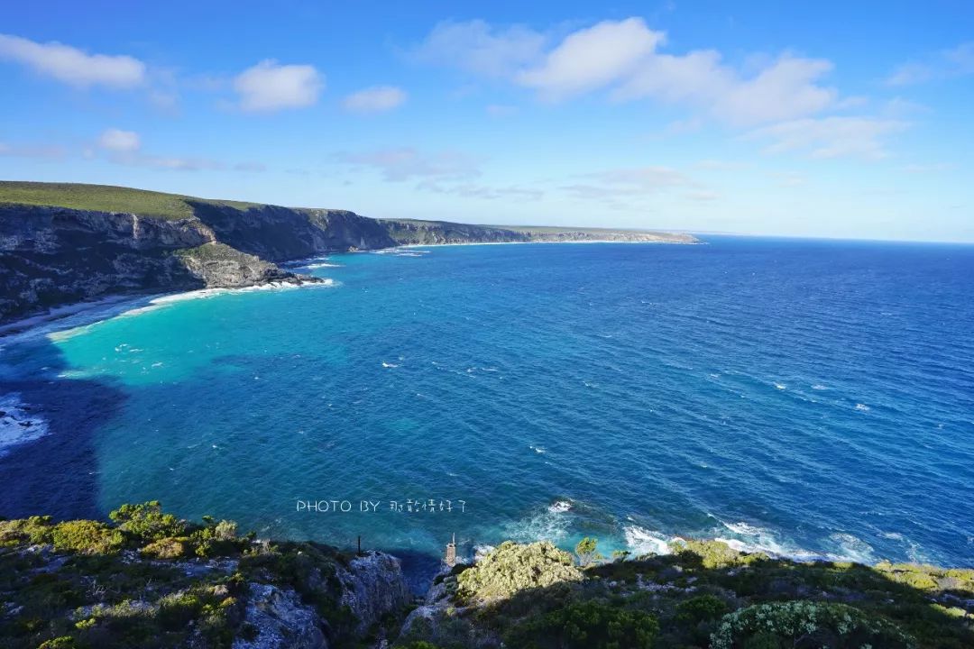 赴澳洲需要买的东西,去澳洲探亲要提供无犯罪记录吗