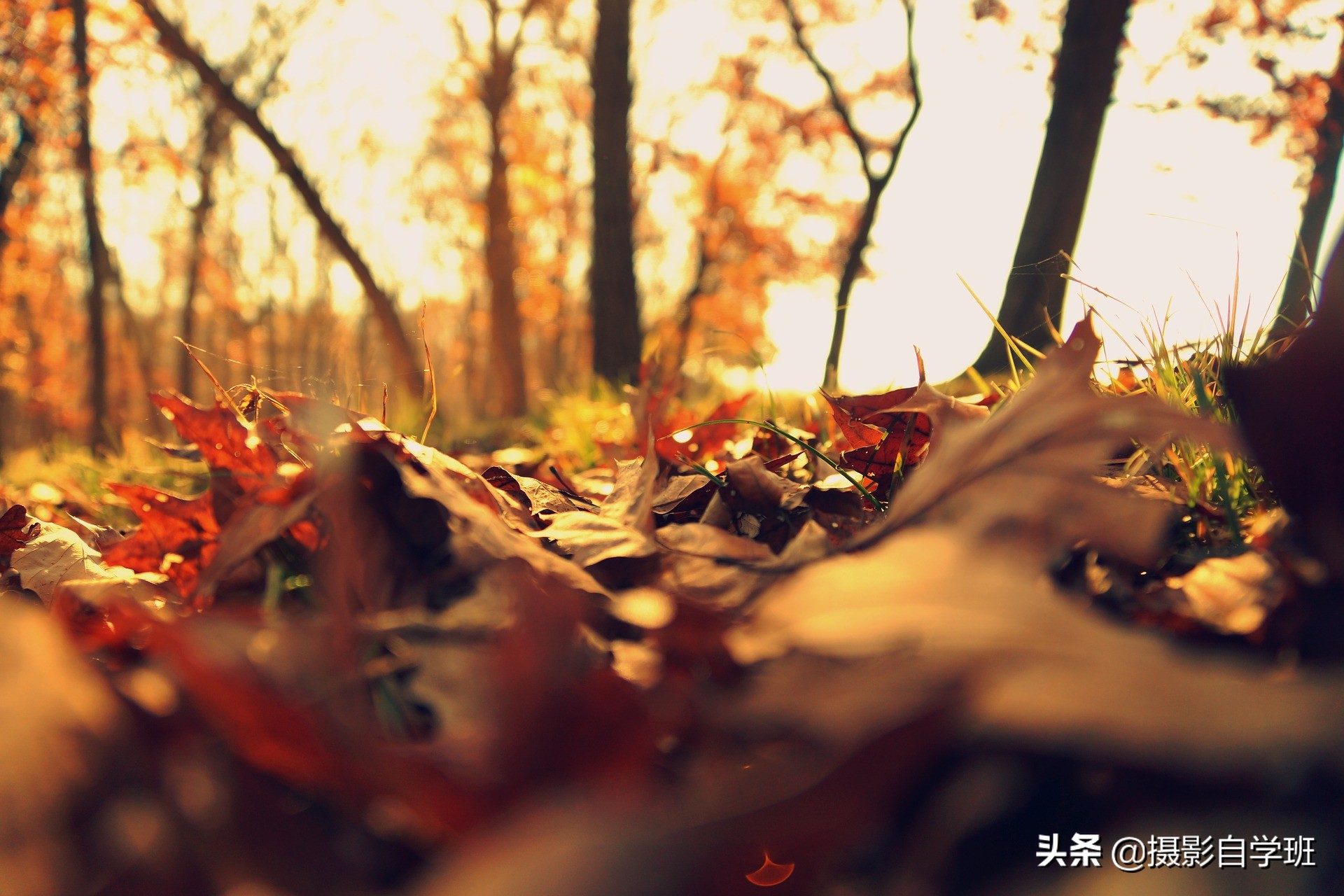 自学摄影全套摄影口诀表,记住摄影口诀想拍不好也难