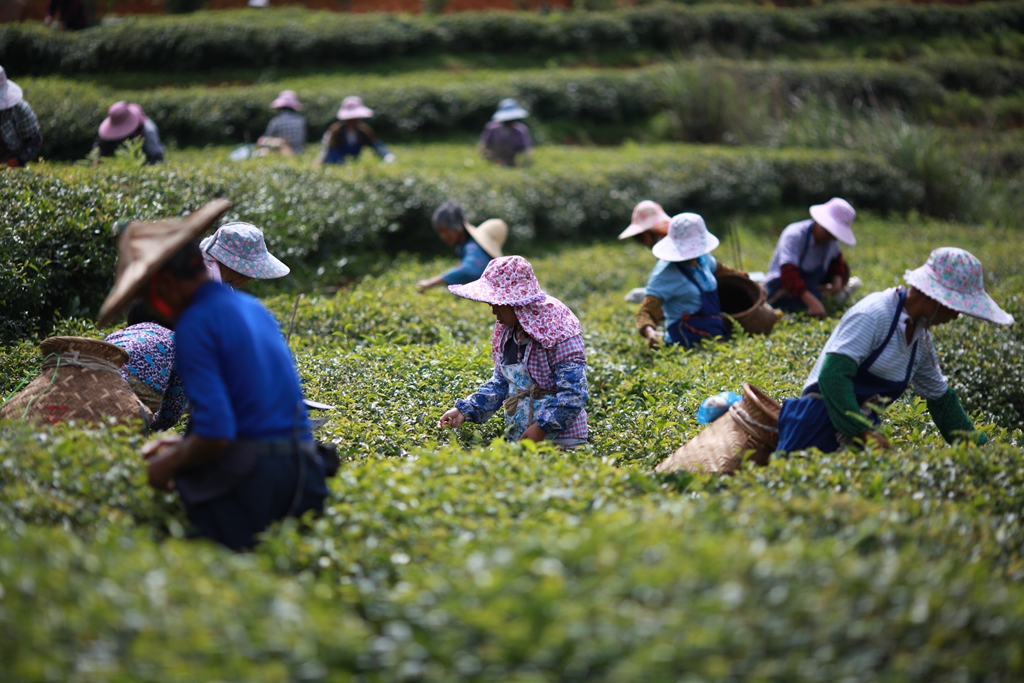 精行俭德对当今的意义,精行俭德的意思