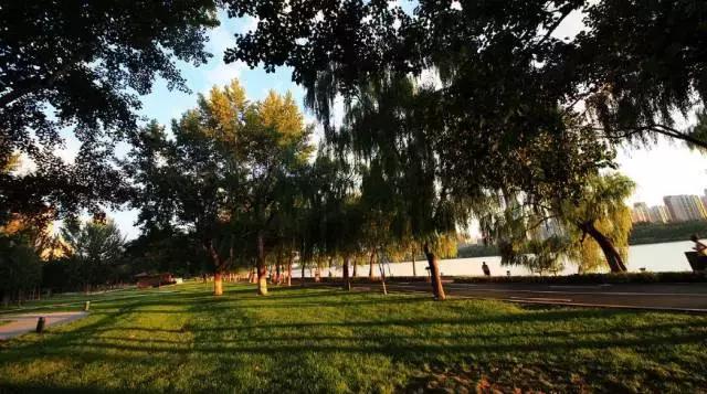 长白岛新规划小学,长白岛新建小学