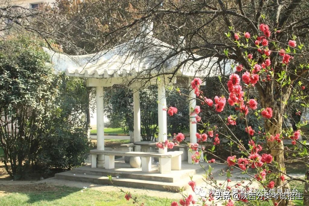 铁路职业技术学院西安市,西安铁路职业技术学院热门专业