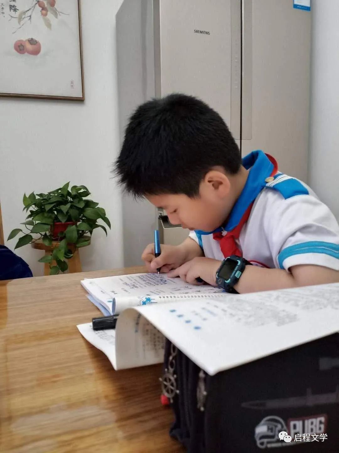 刘世英‖我的小外孙