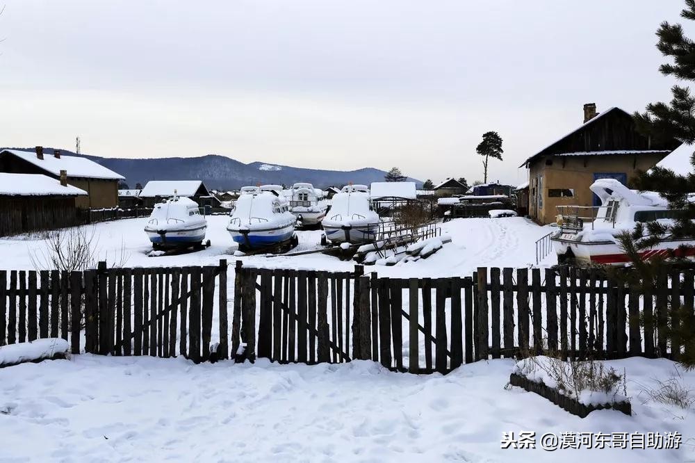 漠河极寒之旅,漠河遇到熊