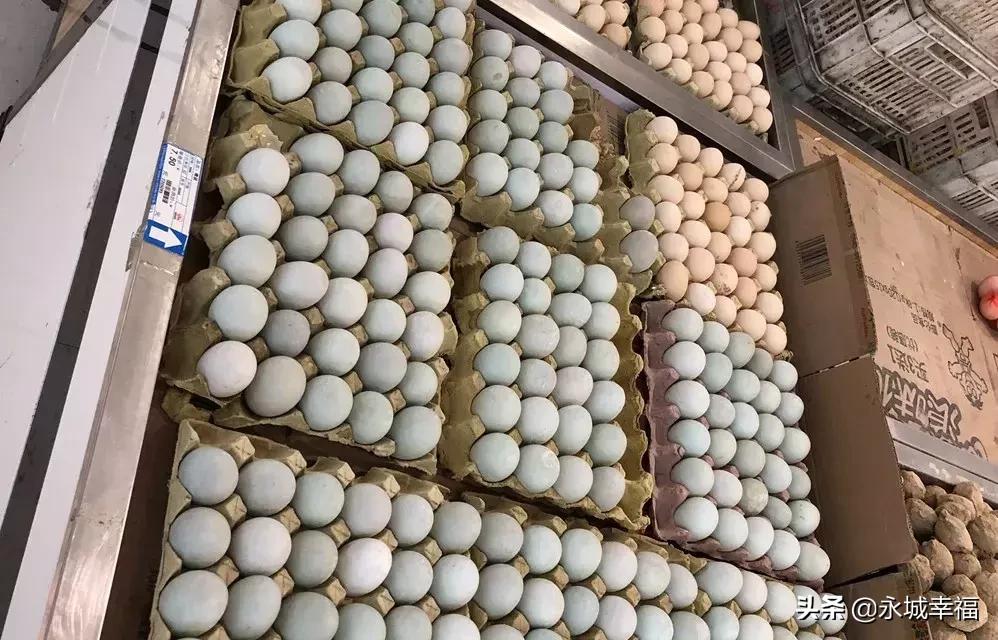 来，永城市场的“飞天猪”“火箭蛋”了解一下