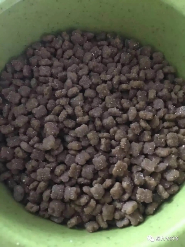 猫九爷：霉菌毒素对犬猫的危害！？