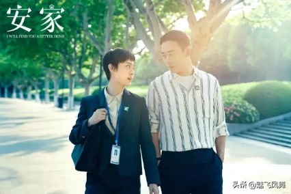 安家豆瓣评分,安家豆瓣