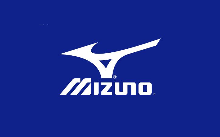 中国女排奋斗经历简短20字,排球运动简史中国女排