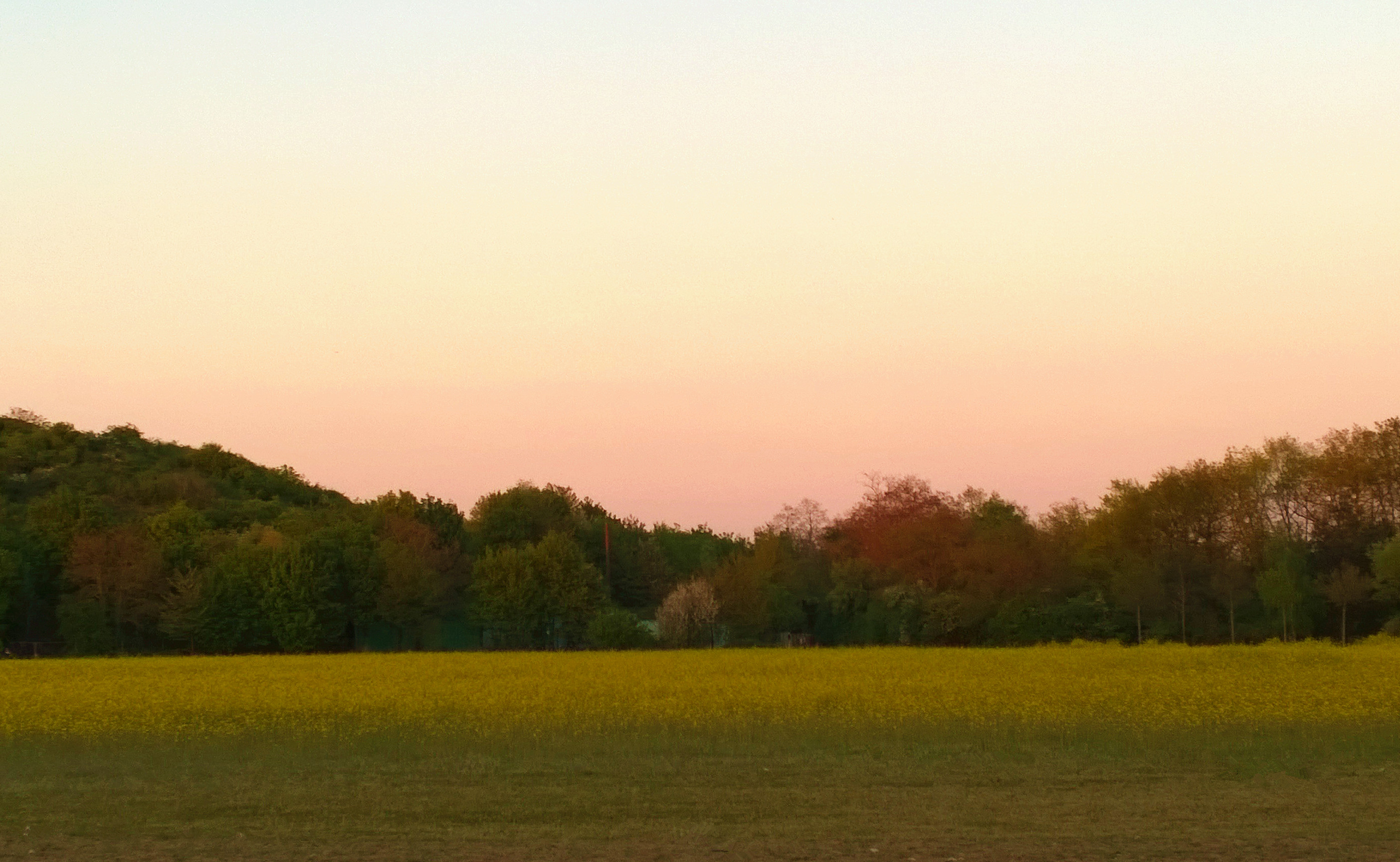 法兰克福一日游攻略大全,法兰克福旅游自由行推荐