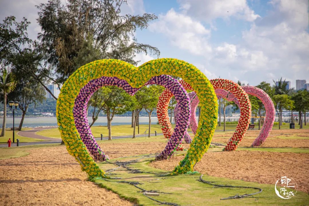 我去了最适合谈恋爱的珠海，回来却还是个单身狗
