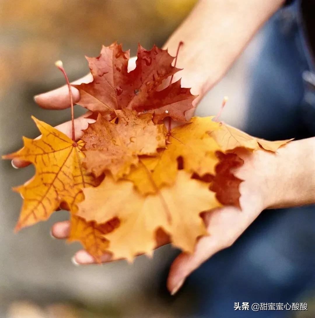 总以为来日方长却忘了世事无常,来日方长却忘了世事无常的意思