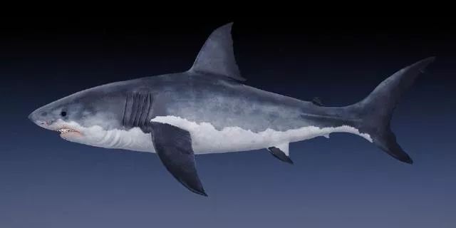 罗永浩发布会ppt教程,罗永浩说新品发布