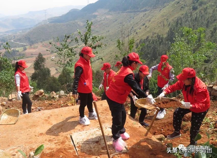 云锡控股集团有限公司,青春聚力新时代