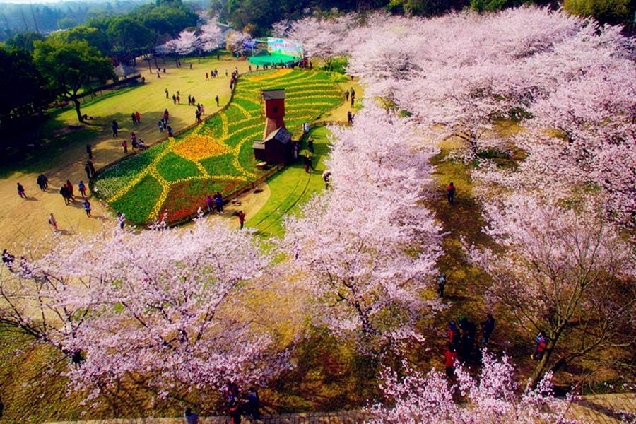 江苏苏州5a景区全名单,苏州市5a景区有哪几个