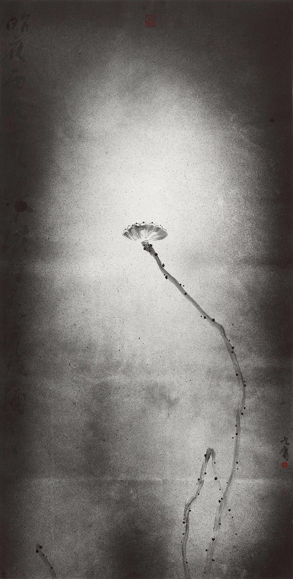 超越形色随性悠游║王昊