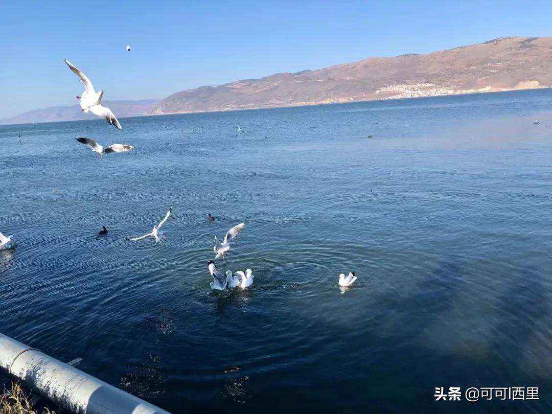 相信孩子静待花开的教育语句,相信每一个孩子的潜力教育随笔