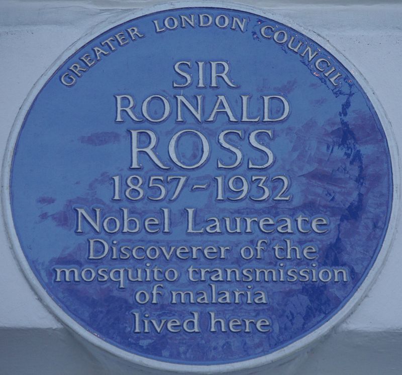 龙岭迷窟毒蜂窝,龙岭迷窟里的蝙蝠