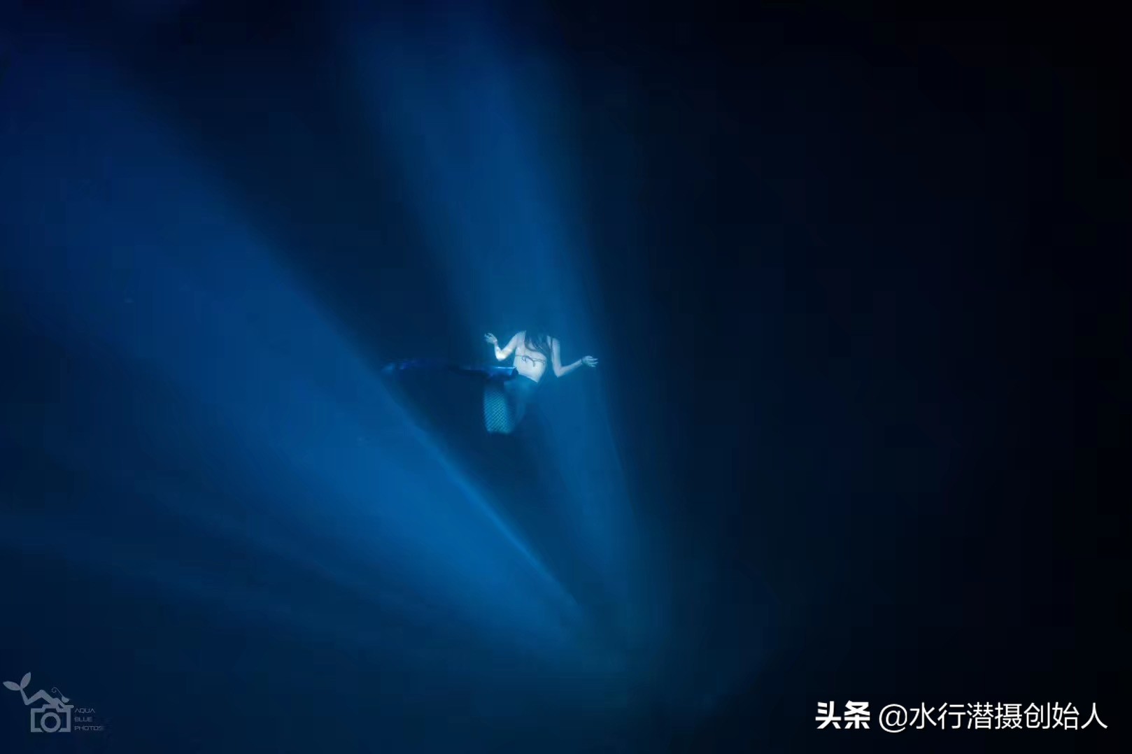 帕劳岛自由行潜水,帕劳水母湖自由潜视频