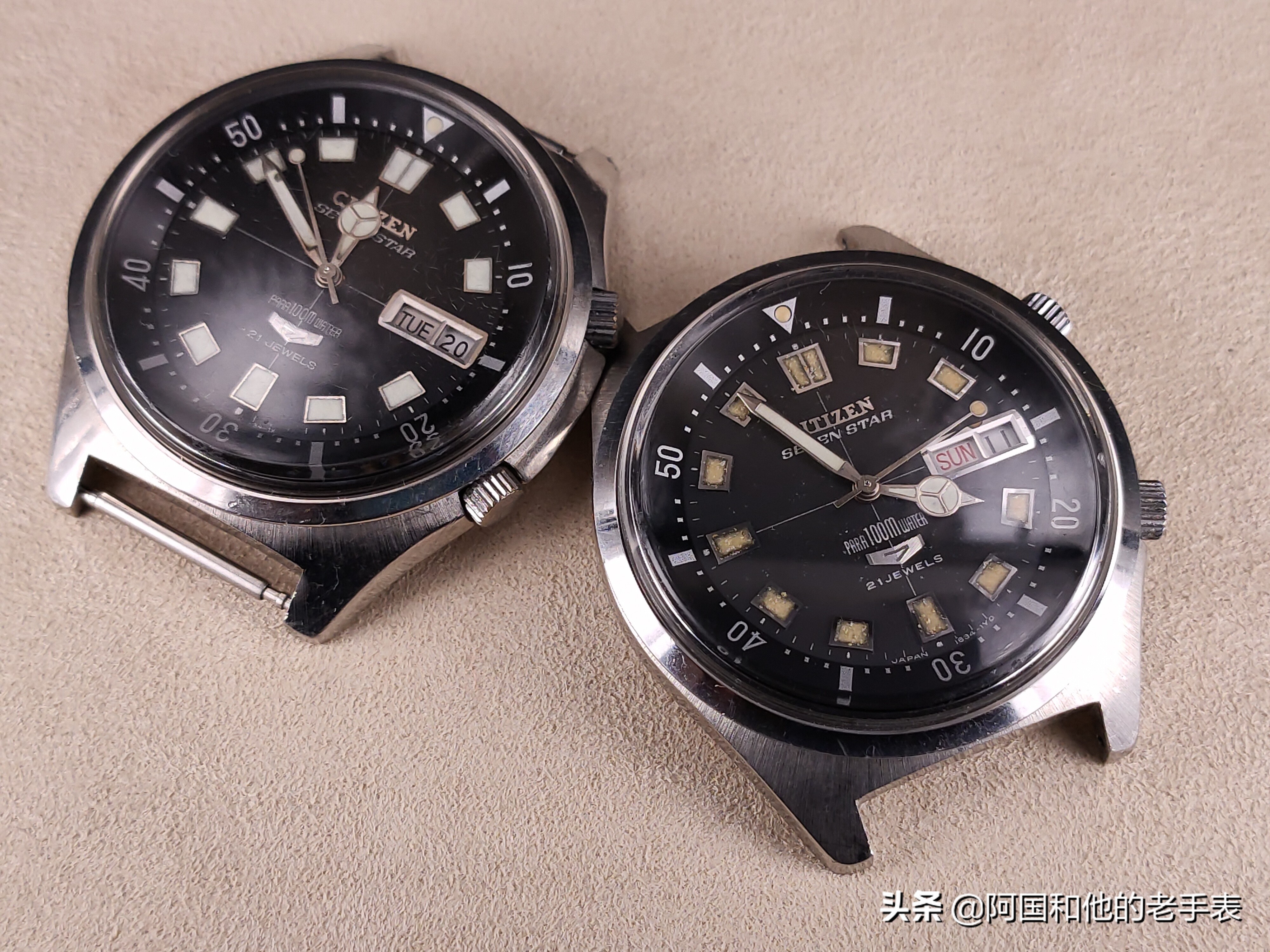 50年后的相见两只西铁城水鬼