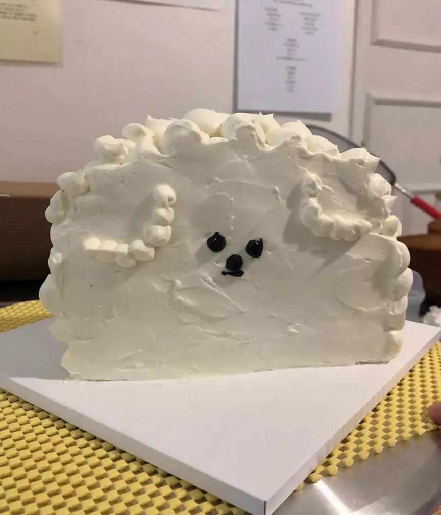 ins上有名的韩国独居博主,38岁独居全职博主