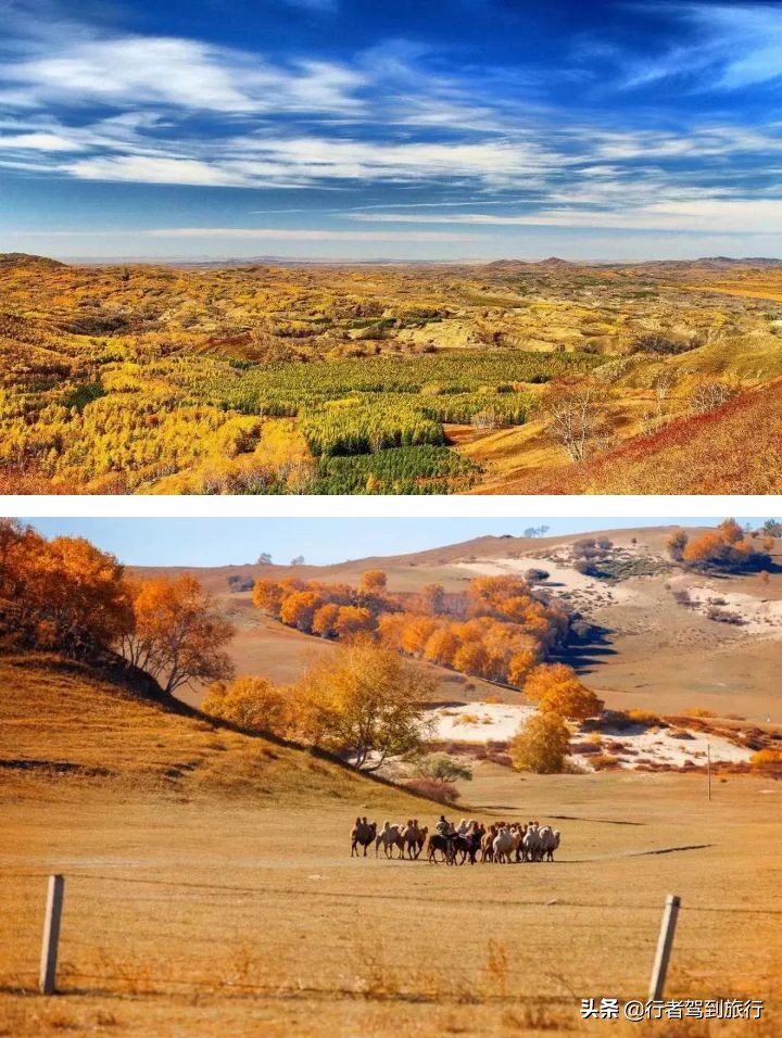 冬季克旗旅游自驾游攻略,克什克腾旗看秋色攻略
