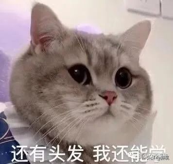 潘南奎被打事件,潘南奎被殴打是哪一集