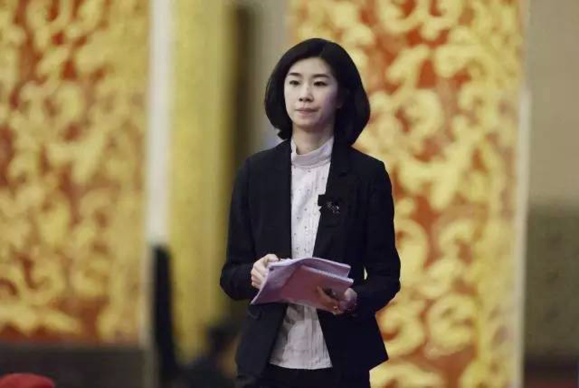 翻译女神张璐升职,外交部翻译女神张璐