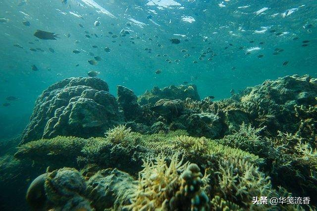 太阳系中还有其他水球吗,太阳系宇宙中有多少水