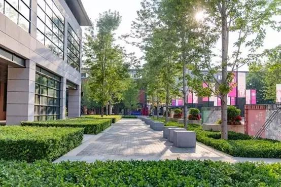 校园文化景观改造设计,校园景观改造