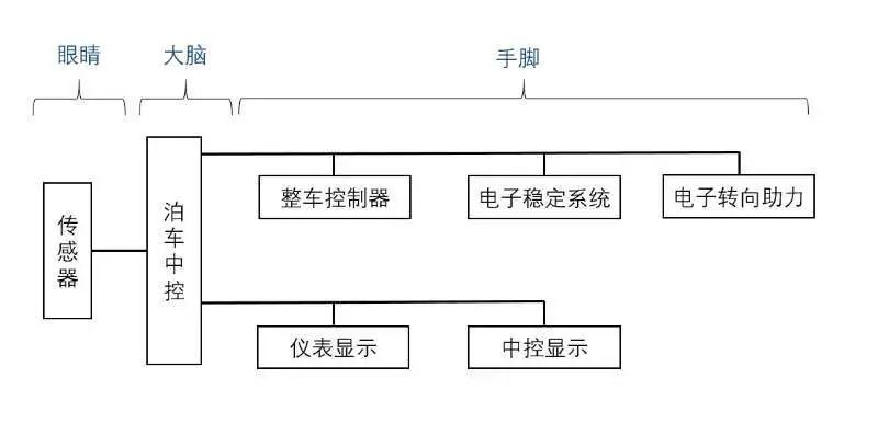 明明是个“老司机”，停车的时候却“脑子死机”