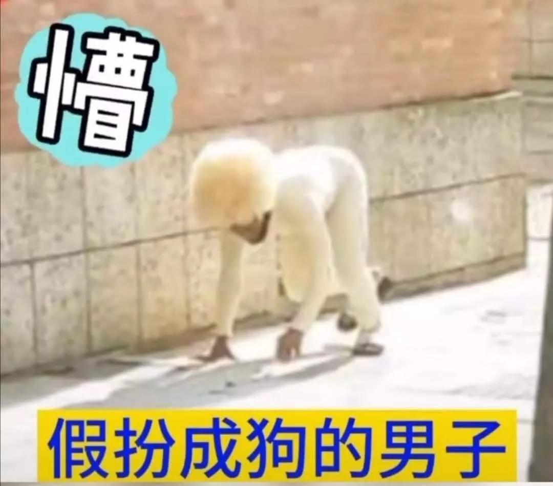 全球各地放松疫情限制,全球各国最新防疫政策