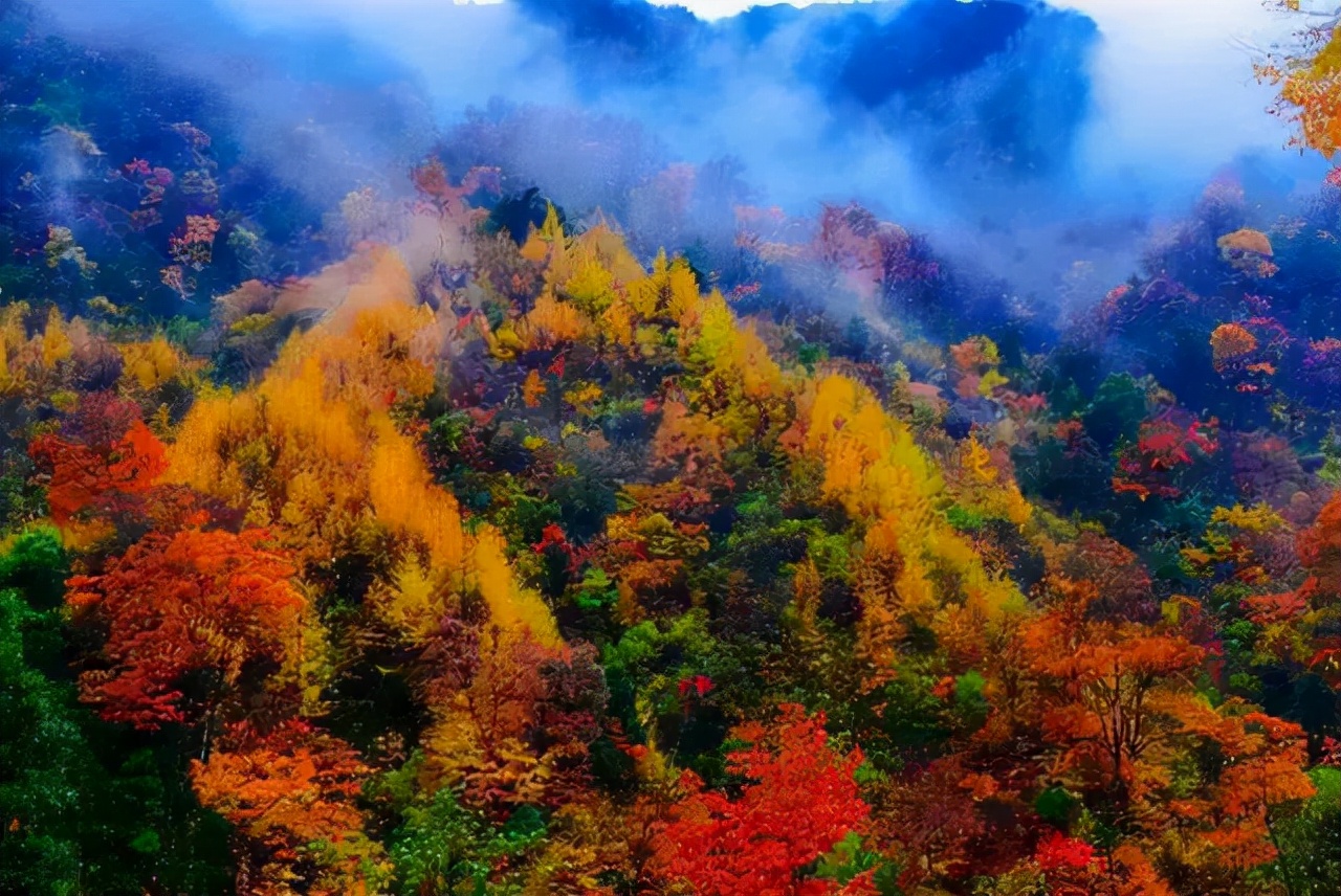 1011月错过它们,等于错过整个秋天!人少清净,随手一拍都是大片