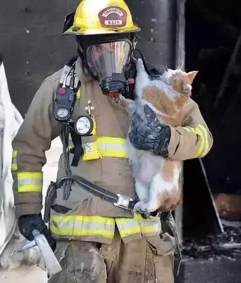 辣到爆的猫片,对不起我要流鼻血了……