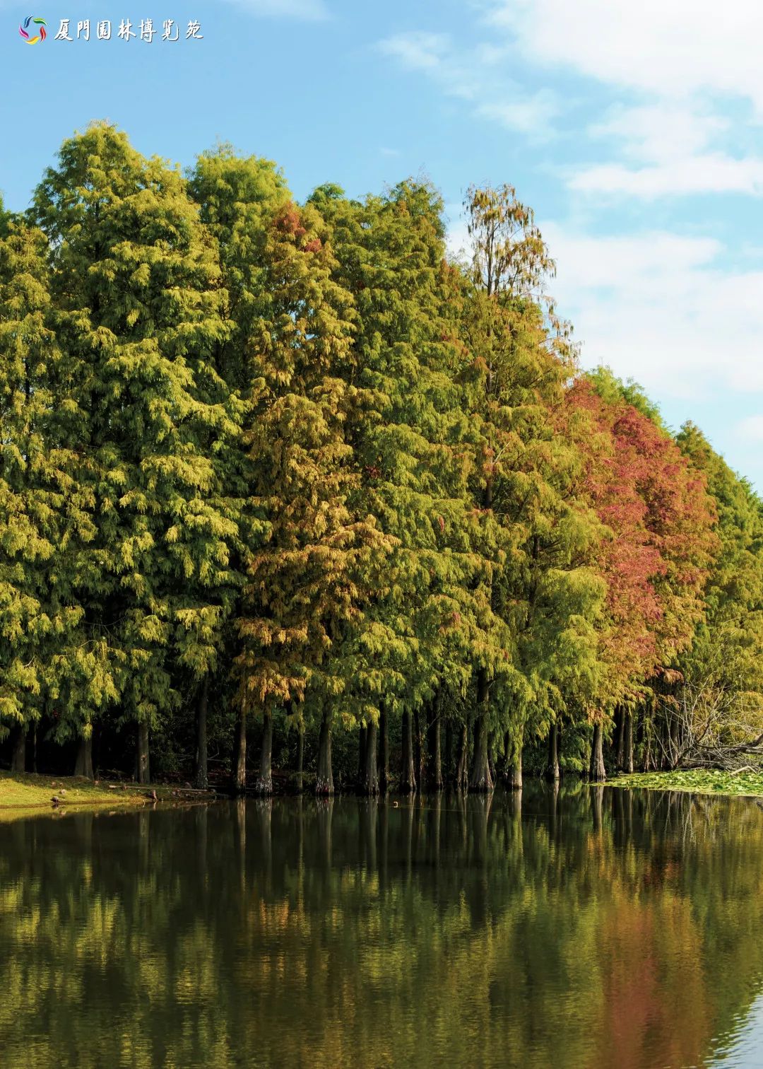 速来!园博苑有让*欲人**罢不能的季相变化之美,还有众多萌物陪伴你~