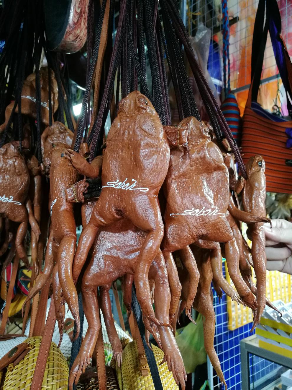 沙巴亚庇购物纪念品,沙巴亚庇之旅