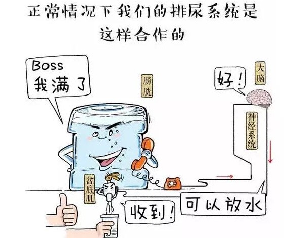 女性尿感强烈却尿不出是什么原因,突然觉得想尿却排不出尿怎么回事