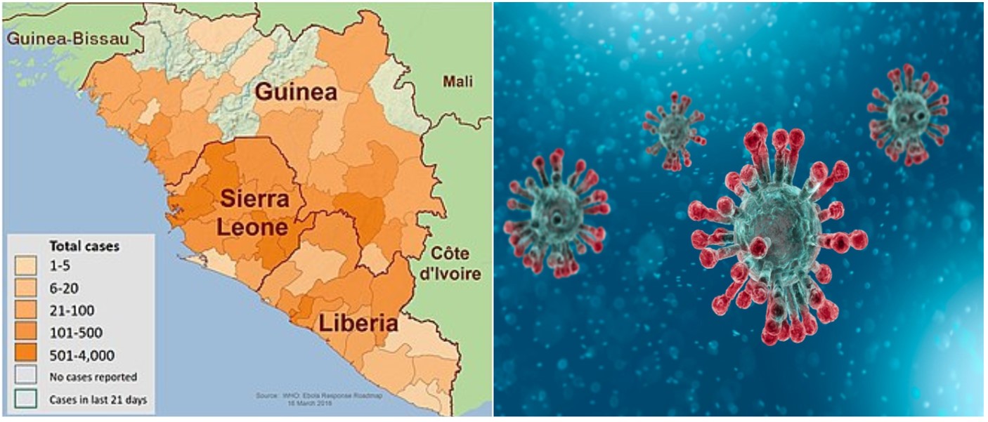 瑞德西韦治新冠病毒新药,抗新冠病毒新药瑞德西韦完成临床