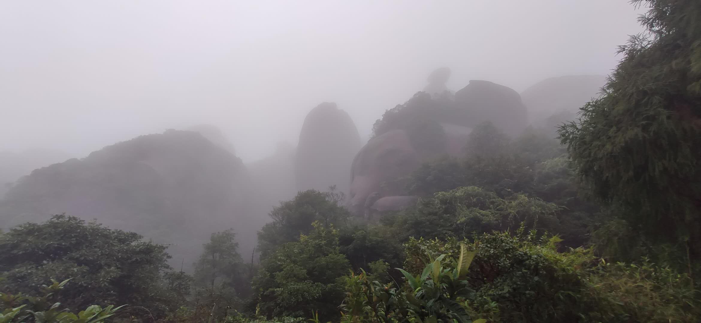 雨中游大奇山,雨中游太湖