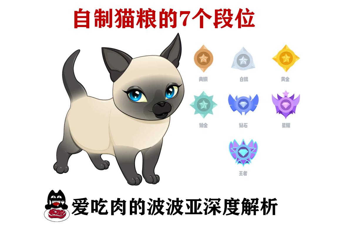 自制猫粮为什么不推荐煮而是蒸,自制猫粮有什么要求吗