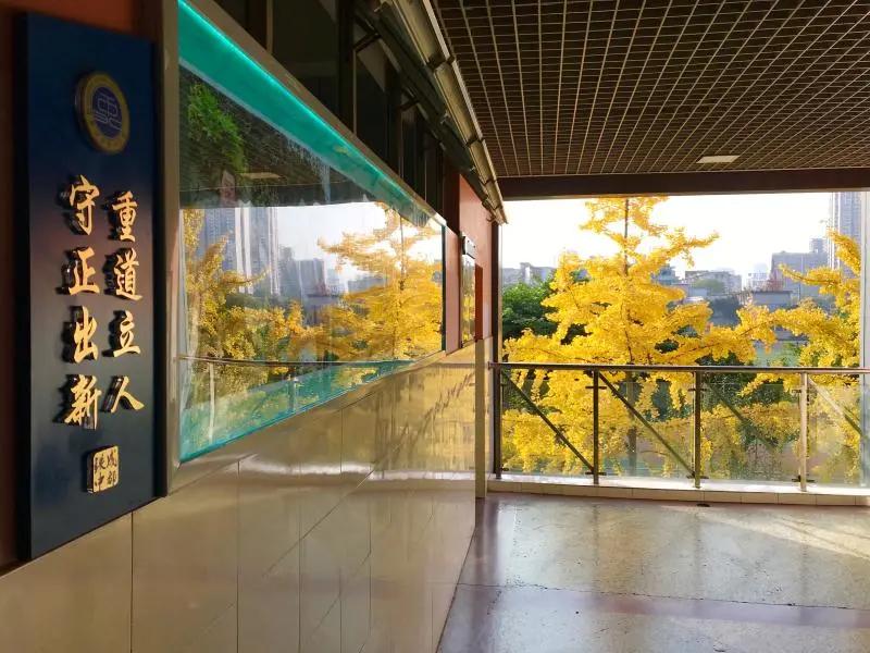 成都铁中和铁中府河校区,成都铁中