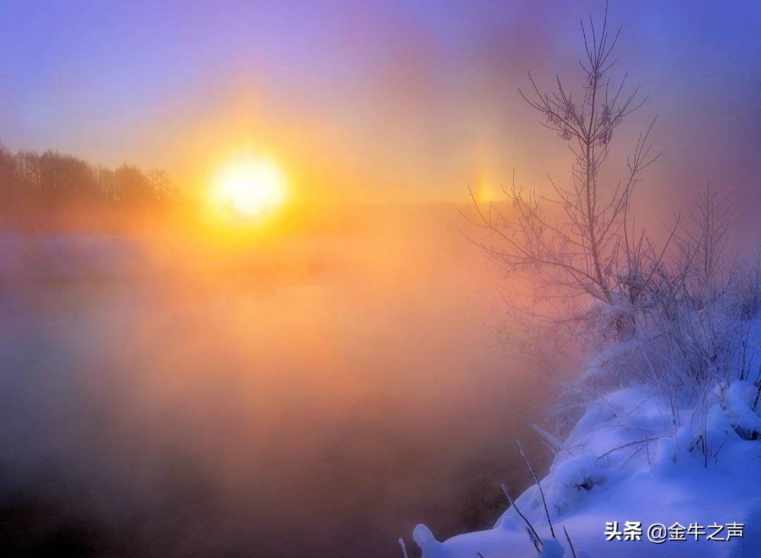 诵读国学传诵经典,关于国学经典传诵的视频